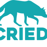 Who Cried Wolf lda
