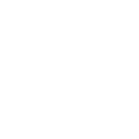 ARMIS Group