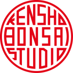 Kensho Bonsai Studio