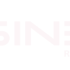 Revista Business Portugal