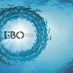 EBO Expanding Brands Optimism