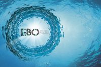 EBO Expanding Brands Optimism
