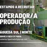 Operador Logistica e Produção - Águeda Sul