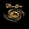 Vision Gold - Ocasião Exemplar, Lda