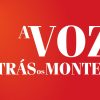 Letras Dinâmicas, Lda.